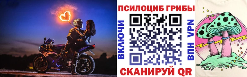 Купить Дрезна Галлюциногенные грибы Psilocybe